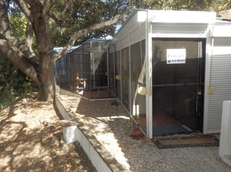cattery-2